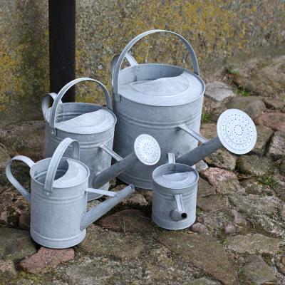 China Metal Esschert Design 1-9L Old Zinc Flower Plant Water Can Wholesale Garden Metal Watering Can for sale