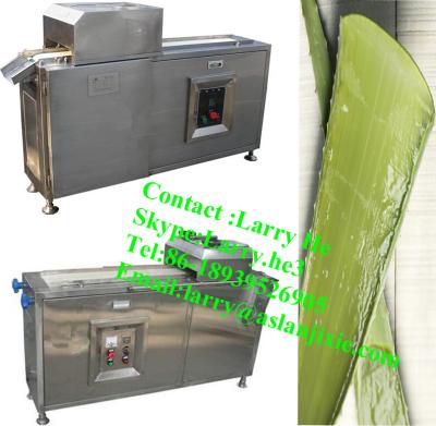 China Stainless Steel Aloe Vera/Aleo Vera Washing Machine/Asparagus Peeling Machine Cutting Machine for sale