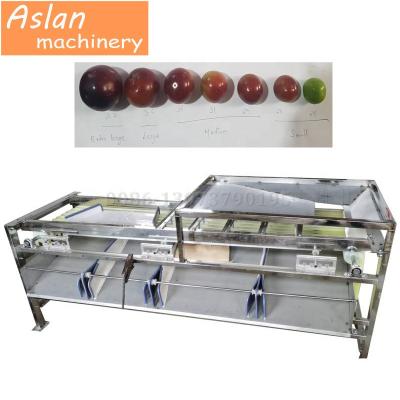 China Plum Blueberry Grader Sorter Top Feeder Type Fruit Sorter Machine for sale