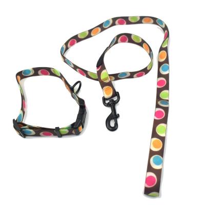 China Innovative Wholesale Safety Padded Elastic Pet Leads With Collars, PVC Traction Harnesses Leashes And Collars For Dogs for sale