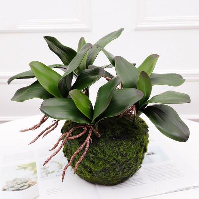 China Wholesale Natural Touch Artificial Flowers Plant Indoor Tree Fake Agave Bonsai for sale