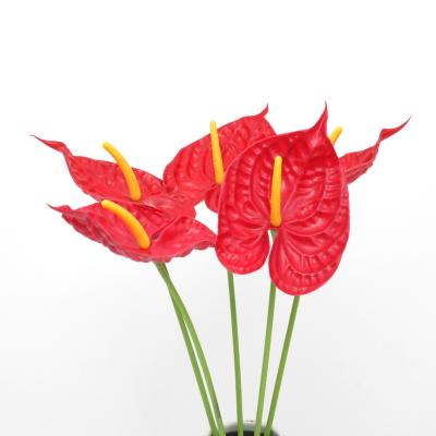 China Natural Simple Potted Home Decorative Flowers Green Plant Anthurium Hit Touch Artificial Flowers Decoration for sale