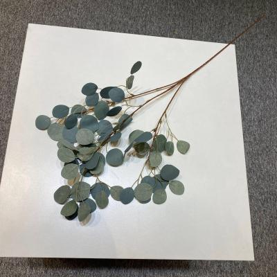 China Artificial Green Eucalyptus Leaf Garland Wedding Natural Background Wall Decoration Touch Leaves for sale