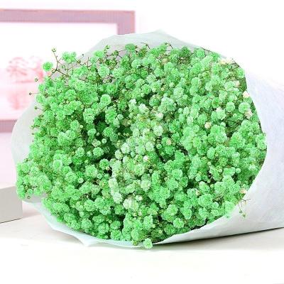 China Natural Touch Dried Flowers Best Selling Premium Grade Dried Gypsophila Flower Preserved Babies Green Breath for sale