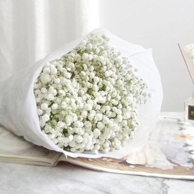 China Best Selling Natural Touch Premium Grade Dried Gypsophila Flower Preserved White Dry Flowers Babies Breath for sale