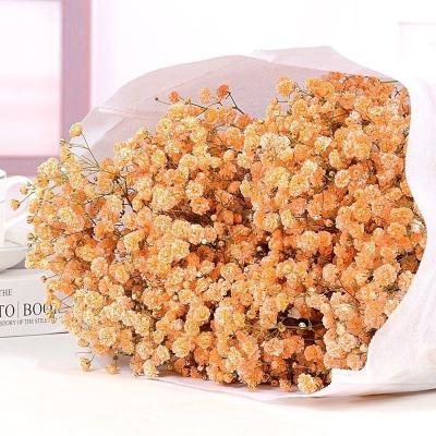 China Natural Touch Dried Flowers Best Selling Premium Grade Dried Gypsophila Flower Preserved Orange Babies Breath for sale