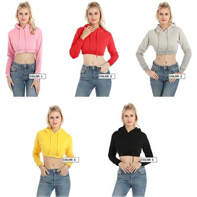 China High Quality Custom Made Wholesale Hoodies Lady Women Top Pullover Anti-wrinkle Grow Hoodies For Women for sale