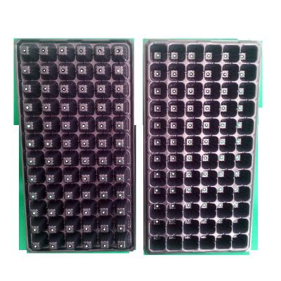 China For Planting Black Seedling Agriculture Insert Covers Tray For Seedling for sale