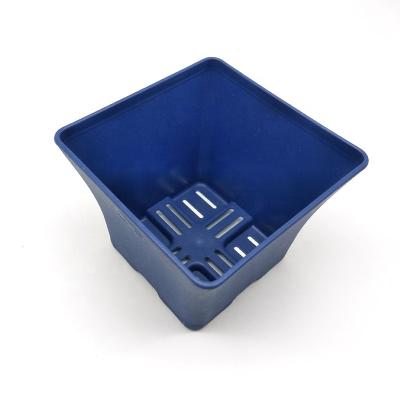 China Good quality modern plastic seeding cup with competitive price for sale