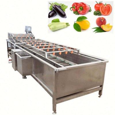 China Full Automatic High Quality Vegetable Broccoli Broccoli Brussels Snacks Rabe Cabbage Napa Cabbage Green Beans Rinseing Machine for sale