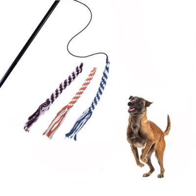 China Hot Selling Interactive Pet Stored Amazon Magic Wand Custom Tester Funny Chasing Tail Teaser Logo Toys Stretch Flirting Dog Poles For Dogs for sale