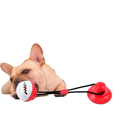 China Viable Durable Manufacture Pet Molar Bite Tooth Cleaning Toy with TPR Suction Cup for sale