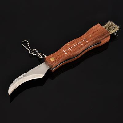 China Factory Non-variable Small Mushroom Knife Outdoor Portable Folding Curved Knife With Brush Key Chain Wooden Handle for sale