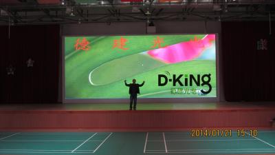 China P10 de Flexibele Lichtgewichtsport van de Stadionperimeter Geleide Vertoning Te koop