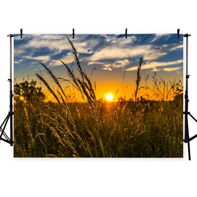 China Support Customization Backdrop Photo Studio Props Dropship 3D Landscape Print Women Party Decor Thin Vinyl Customize Background Photography for sale