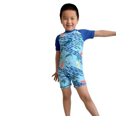 China Quick-drying Miniatree kids shaping a swimsuit boy swimsuit boys swimming suit swimsuwearit kids swim for sale