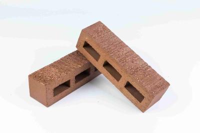 China Sand Texture Extruded Hollow Brick For Outside And Inside Wall Decoration for sale