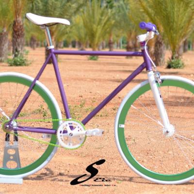 China Hi-ten steel TAIWAN made 700C with hi-ten fixed steel frame gear ike for sale