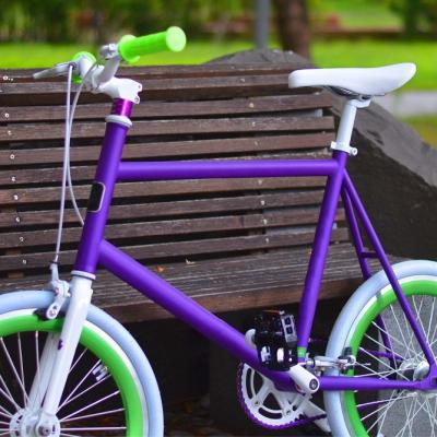 China Steel bicycle made in Taiwan with SRAM 2SP mini bike for sale