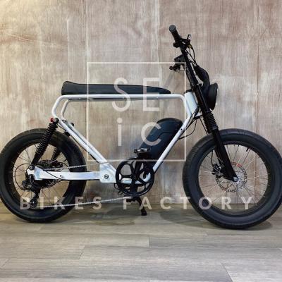 China New design 20x4 inch steel e-bike 250/500/750w fat electric bicycle with fat tire for sale