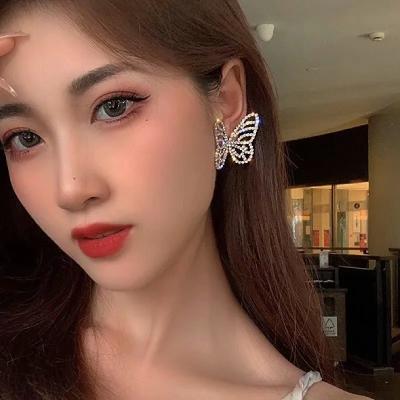 China New Design Trendy Fashion High Quality Copper Drop Earrings Big Long Drop Tassel Earrings for sale