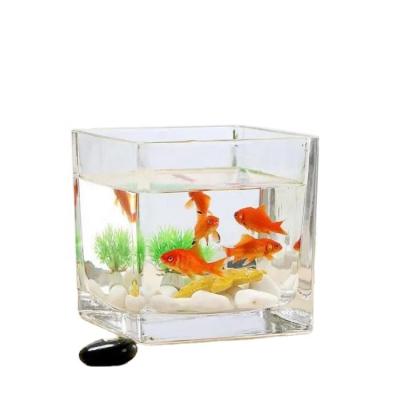 China Viable Customize Size Decoration Ornaments Clear Square Glass Fish Bowl Aquarium for sale