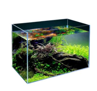 China Best Fishbowl Glass Live Pet Aquarium Stocked Aquarium For Home Office for sale