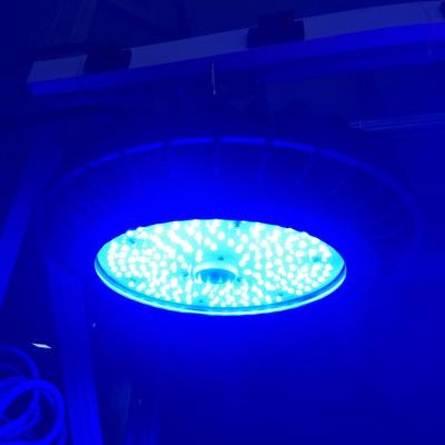 China IP66 Industrial Lighting Blue Color UFO LED Flood Light For Car Wash 100W for sale