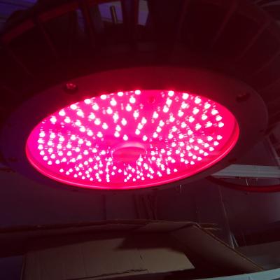 China Anti Corrosion Car Wash Bay Light Industrial Lighting Colorful Car Wash Lighting for sale