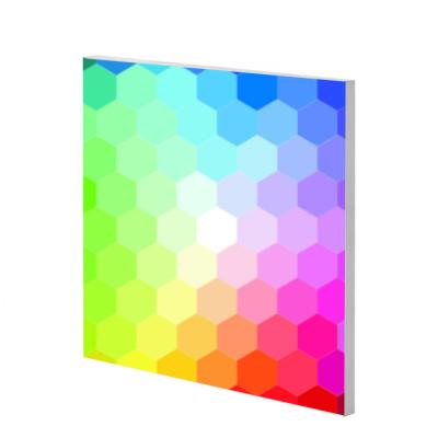 China Modern White Red Green Blue Color Changing Color Mixing 12V 24V LGP Frameless Flat Panel LED for sale