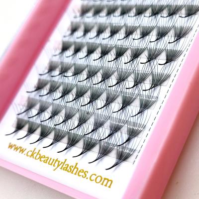 China Natural Russian Lash Extension Private Label Volume Eyelash Fans Premade 5D Volume Eyelash Extension and Fans for sale