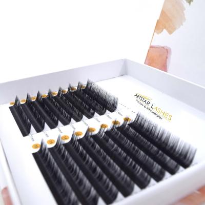 China High Quality Hot Sale Natural D Volume Long Easy Lashes Curl 0.05 Easy Blooming Fan Eyelash Extensions 15Mm for sale