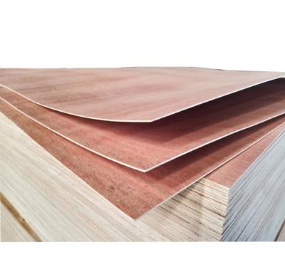 China Modern Free Sample Bintangor/Okoume/Birch/Pine Packageable Faced and Poplar Core Plywood for sale