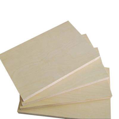 China Shuttering Factory Dropshipping Modern Plywood Panels For Building for sale