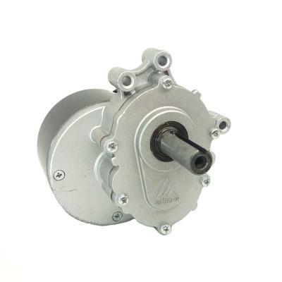 China Totally Enclosed 12V 24 Volt DC Motor 250W Wheel Power Electric Wheelchair Motors for sale