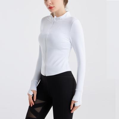 China Y953 Women's Breathable Jacket for sale