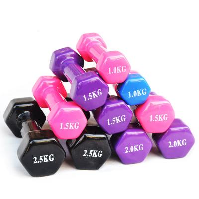 China Plastic Dip In The Dumbbell New Trend Exercise Dip Rack Metal Dumbbell Smooth Frosting Plastic Anti-Roll Rack for sale