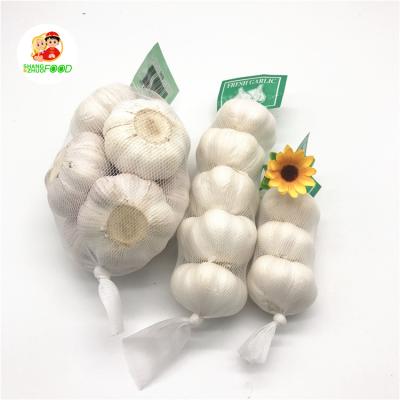 China 2021 Manufacturers 2021 Hot Fresh Fresh Garlic Fresh Garlic Spanish Red Wholesale Price Selling Garlic for sale