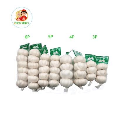 China whole fresh garlic fresh white garlic selling price for sale