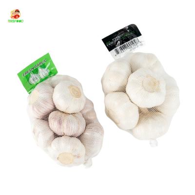 China Wholesale jinxiang fresh garlic pure white chinese fresh best garlic with good price for sale