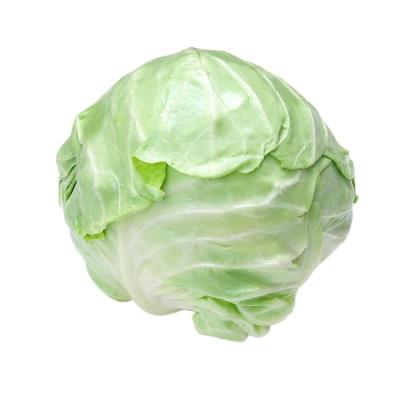 China The green round volume of fresh Chinese organic cabbage of fresh vegetables for sale