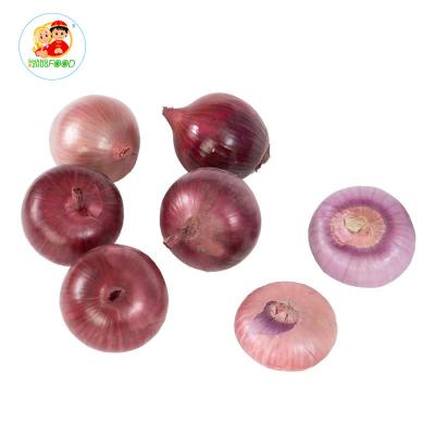 China Fresh red and yellow fresh onion with cheap price for export for sale