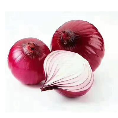 China 2020 fresh new hot selling fresh peeled red onion corp. from China for sale