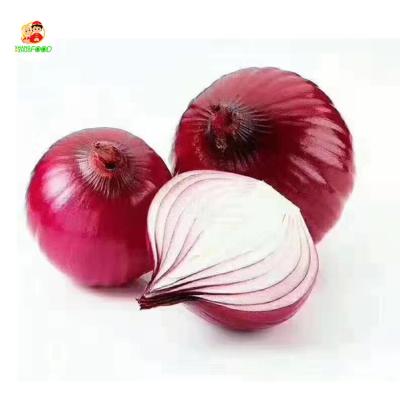 China Chinese high quality fresh peeled red onion peeled fresh onions 2020 for sale for sale