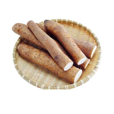 China Newest fresh yam Chinese culture wholesale price, healthy delicious your life vacuum yam/iron yam/Ox-leg yam for sale