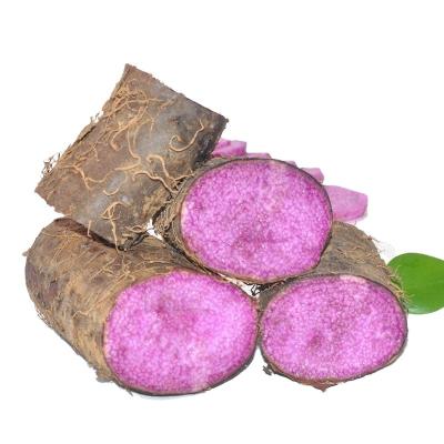 China Whole Grade Selling Fresh Hot Top Fresh Chinese Purple Yam Selling Price for sale