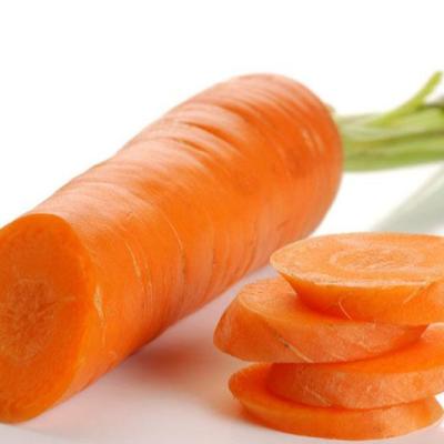 China New Organic Food Carrot Best-selling Chinese Carrot Fresh Cultivation for sale