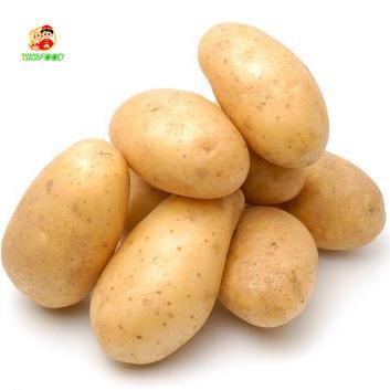 China Sweet Potato Cheap Price Fresh Potato Fresh High Quality Fo Export for sale