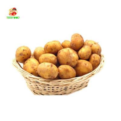 China Good export price of sweet potatoes sweet potatoes new fresh potato corp. for sale