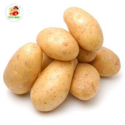 China Factory Professional Supply Fresh Organic Fresh Potatoes In China Potato Bulk for sale